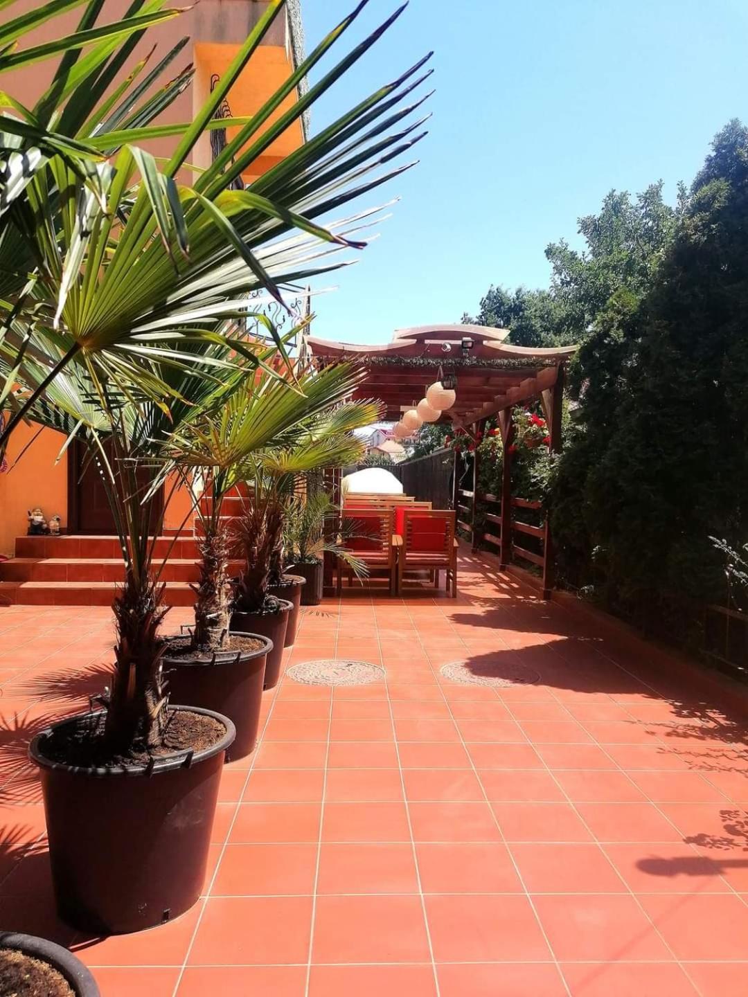 Vila Floarea Etiquette Costineşti Exteriér fotografie
