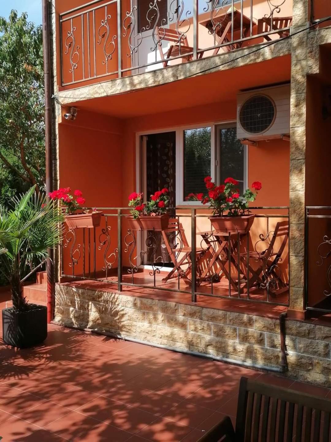 Vila Floarea Etiquette Costineşti Exteriér fotografie